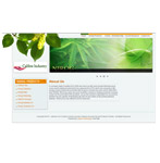 professional website designers