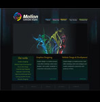 best website designers